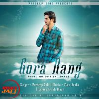 Gora Rang Pardeep Sohi Mp3 Song Download