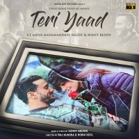 Teri Yaad Rahat Fateh Ali Khan Mp3 Song Download