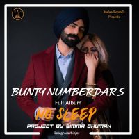 Promise Bunty Numberdar Mp3 Song Download