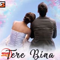 Tere Bina Lakhi Oye Mp3 Song Download