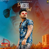 Tu Meri Gal Karan Singh Arora Mp3 Song Download