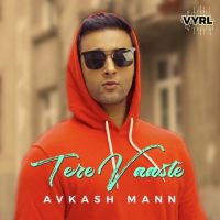 Tere Vaaste Avkash Mann Mp3 Song Download