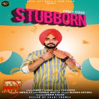 Stubborn Amrey Sidhu Mp3 Song Download