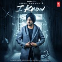 I Know Amar Sandhu, Neetu Bhalla Mp3 Song Download