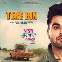 Tere Bin (Ardab Mutiyaran) Ninja Mp3 Song Download