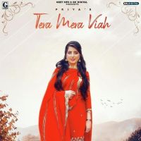 Tera Mera Viah Priya Mp3 Song Download