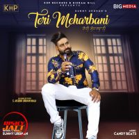 Teri Meharbani Sunny Urdhan Mp3 Song Download