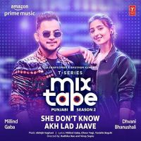 She Dont Know-Akh Lad Jaave (T-Series Mixtape Punjabi Season 2) Millind Gaba, Dhvani Bhanushali Mp3 Song Download