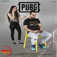 Pubg Sherry Sultanwindia Mp3 Song Download