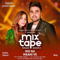 Roi Na-Maahi Ve (T-Series Mixtape Punjabi Season 2) Kanika Kapoor, Ninja Mp3 Song Download