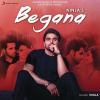 Begana Ninja Mp3 Song Download