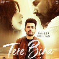 Tere Bina Sameer Chohan Mp3 Song Download