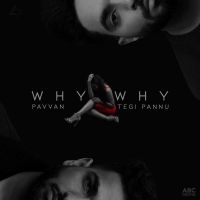 Why Why Pavvan, Tegi Pannu Mp3 Song Download