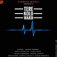 Tere Kolo Wakh Harrie Parmar Mp3 Song Download