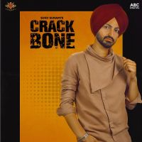 Crack Bone Sukh Sunami Mp3 Song Download