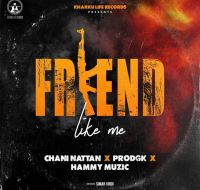 Friend Like Me Hammy Muzic Mp3 Song Download