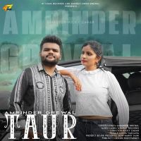 Taur Amrinder Grewal Mp3 Song Download