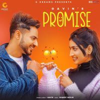 Promise Gavin Mp3 Song Download