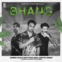 Bhang Bhinda Aujla, Gavy Dhaliwal Mp3 Song Download