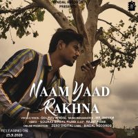 Naam Yaad Rakhna Gourav Bindal Mp3 Song Download