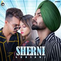 Sherni Gursanj Mp3 Song Download