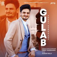 Gulab Preet Randhawa Mp3 Song Download