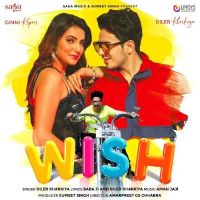 Wish Diler Kharkiya Mp3 Song Download