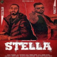 Stella Puneet, Sultaan Mp3 Song Download