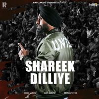 Shreek Dilliye Ricky Sandhu Mp3 Song Download