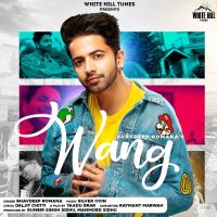 Wang Bhavdeep Romana Mp3 Song Download