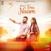 Tera Naam G Deep Mp3 Song Download