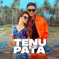 Tenu Ni Pata Guri Mp3 Song Download