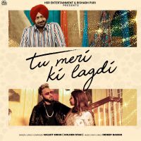 Tu Meri Ki Lagadi Malkit Singh, Kanika Kapoor Mp3 Song Download