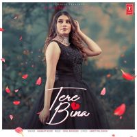 Tere Bina Mannat Noor Mp3 Song Download