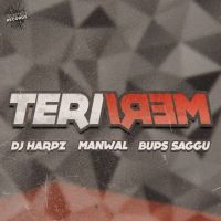 Teri Meri Manwal Mp3 Song Download