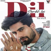 Dil Sambh Lai Singga Mp3 Song Download