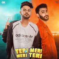 Teri Meri Meri Teri Nav Sandhu, RCR Mp3 Song Download