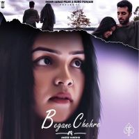 Begane Chehre Amzee Sandhu Mp3 Song Download