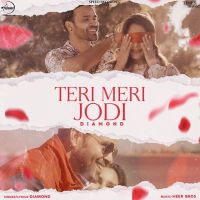 Teri Meri Jodi Diamond Mp3 Song Download