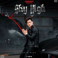 Sky High Asim Riaz Mp3 Song Download