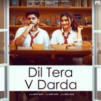 Dil Tera V Darda Mista Baaz Mp3 Song Download