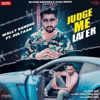 Judge Me Later Sultaan, Wally Sandhu Mp3 Song Download