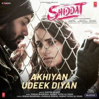 Akhiyan Udeek Diyan Master Saleem Mp3 Song Download