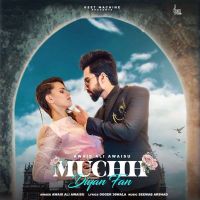 Muchh Diyan Fan Awais Ali Awaisu Mp3 Song Download