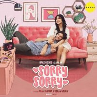 Sorry Sorry Raashi Sood, Zaraan Mp3 Song Download