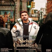 Shehar Chandigarh Chale An Yasir Hussain Mp3 Song Download