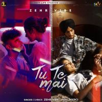 Tu Te Mai Zehr Vibe Mp3 Song Download