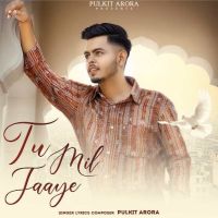 Tu Mil Jaaye Pulkit Arora Mp3 Song Download