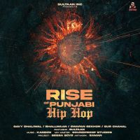 Rise of Punjabi Hip Hop (EP) By Sultaan full album mp3 songs