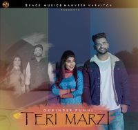 Teri Marji Gurinder Punni Mp3 Song Download